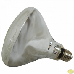Lampa 100W UVB PAR38 ReptiSpa