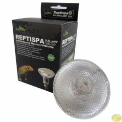 Lampa 80W UVB PAR38 ReptiSpa